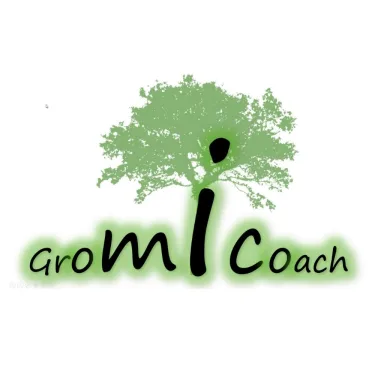 Gromicoach VOF
