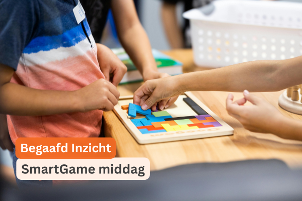 Begaafd Inzicht Weert SmartGame middag