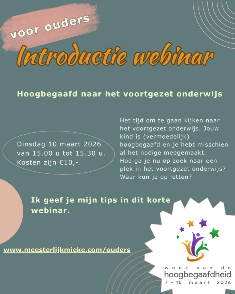 flyer van de webinar
